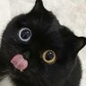 miroshyk