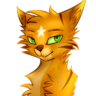 JluceHoK wereFOX