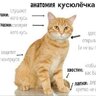 Фиксик