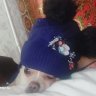 Аноре