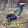 крынжовник