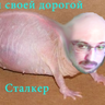 выебал123