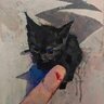 Mawpaw