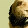 Bioweapon