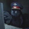 CumЧатский