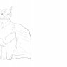 Maksym