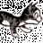 FoxCox