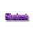 Shelest