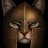 SpartaMeow