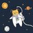 rocketcat