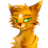 JluceHoK wereFOX