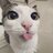 Shelby_