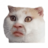 soyfon228